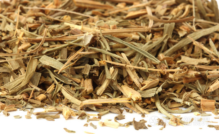 龙嵩龙嵩叶龙蒿