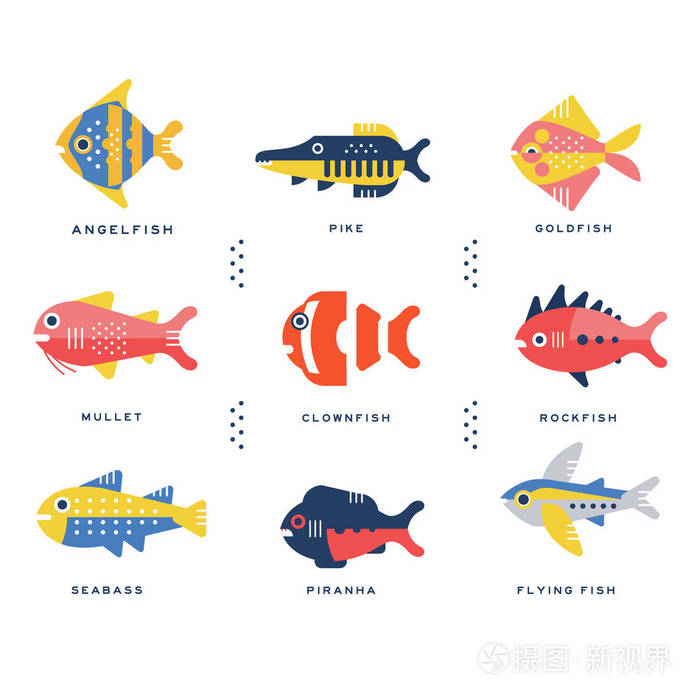 海和海洋的鱼和刻字的名字在英文矢量插图的集合插画 正版商用图片00youd 摄图新视界 海和海洋的鱼和刻字的名字在英文矢量插图的集合插画 正版商用图片00youd 摄图新视界