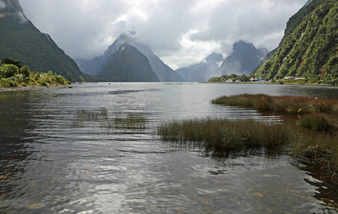 在米尔福德峡湾