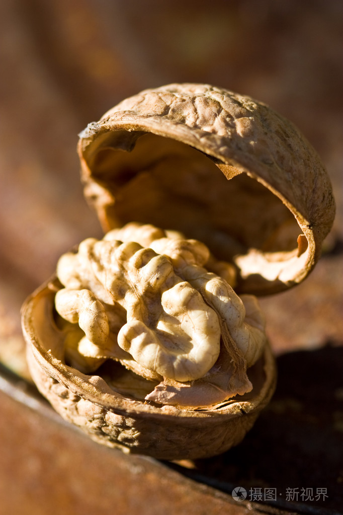 核桃照片-正版商用图片00ysxb-摄图新视界