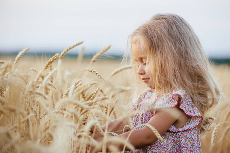 可爱的小女孩玩在小麦夏田