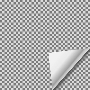 白色空白不干胶标签纸透明箔空白不干胶标签矢量注扭曲纸照片