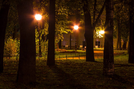 尤苏波夫花园的夜景