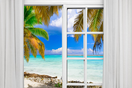 窗口打开棕榈滩