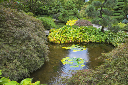 小池塘。