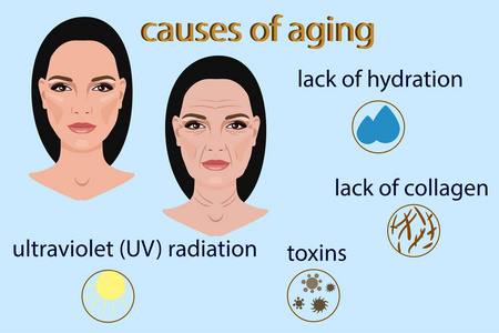 原因造成的衰老，矢量图和两个面孔和小图片
