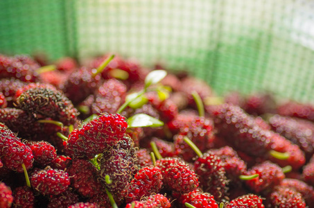 红桑椹摄影图