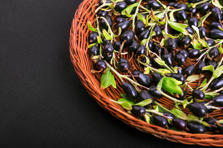 多彩的醋栗图片