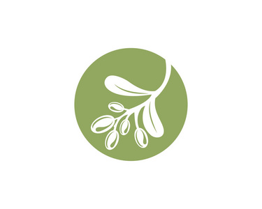 橄榄 logo 模板矢量图标插画设计照片