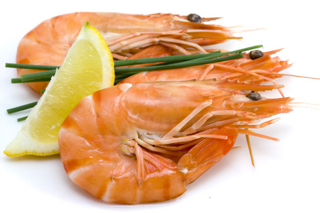 虾，小虾 shrimp的名词复数  矮小的人