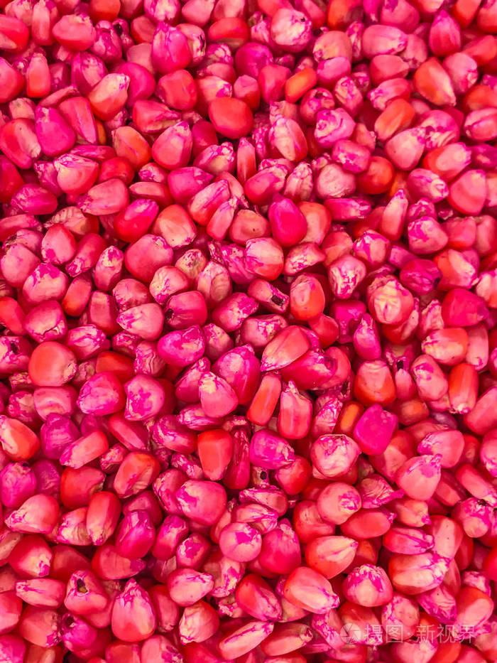 化学处理对播种的玉米种子