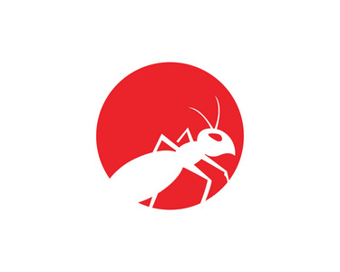 蚂蚁logo模板矢量插图设计蚂蚁标志模板矢量图案矢量图像的大象和蚂蚁