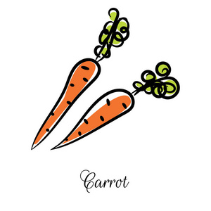 胡萝卜线图标涂鸦手绘制的矢量图片