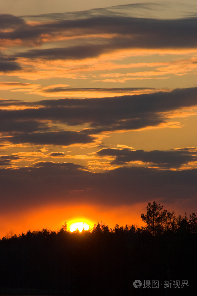 傍晚时分树林里