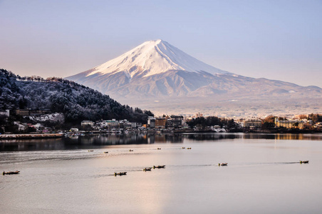 富士山秋季在河口湖雪山, 富士山是著名的日本山, 旅游人士称富士山为富士, 富士山, 富士山, 富士三, 日本