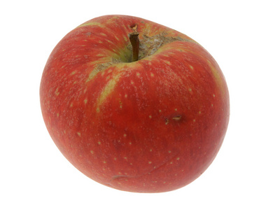 苹果 苹果树 苹果公司