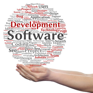 软件开发项目编码技术