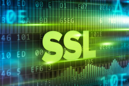 界面屏幕上显示的 Ssl 特写