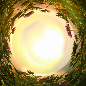 神奇的童话鲜花在夕阳光抽象旋涡的背景