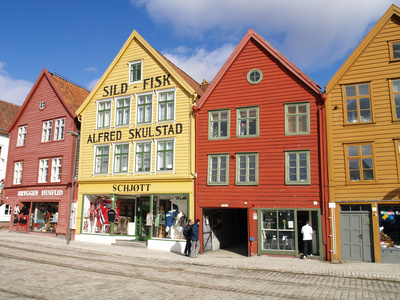 Bergen的住房