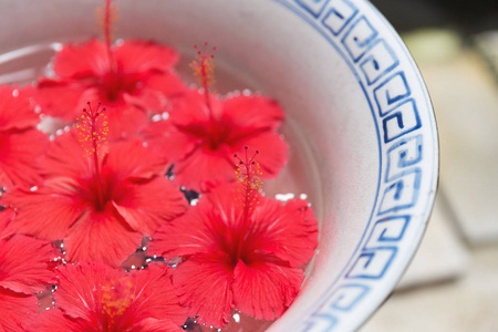 红芙蓉花漂浮在大盆内的水图片