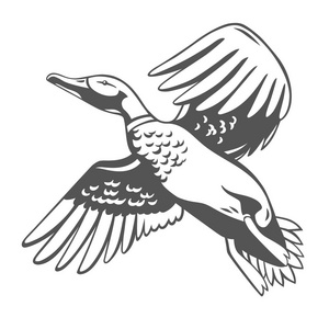 鸭店图片-鸭店素材-鸭店插画-摄图新视界