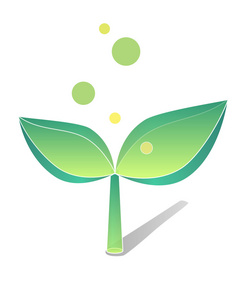 在春天绿芽图片