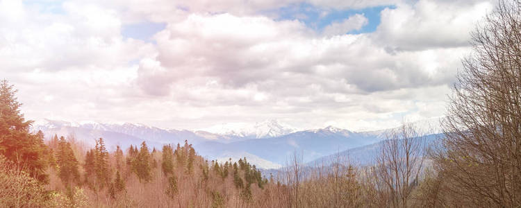 定了调子的多云的天空 森林和高加索山区阳光全景