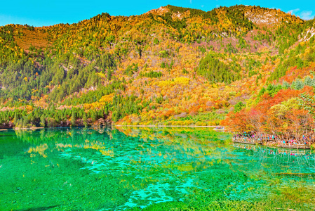 五朵花湖在秋天日出时间的鸟瞰图