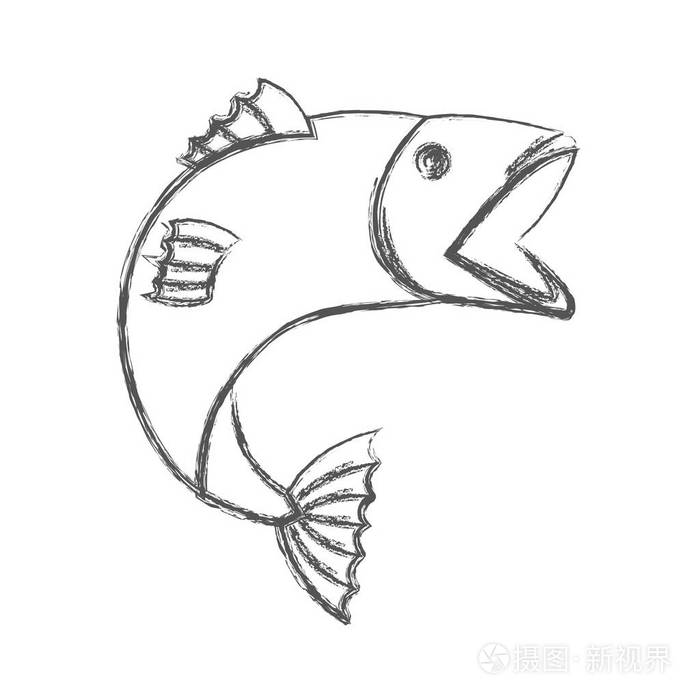 小鳟鱼简笔画图片