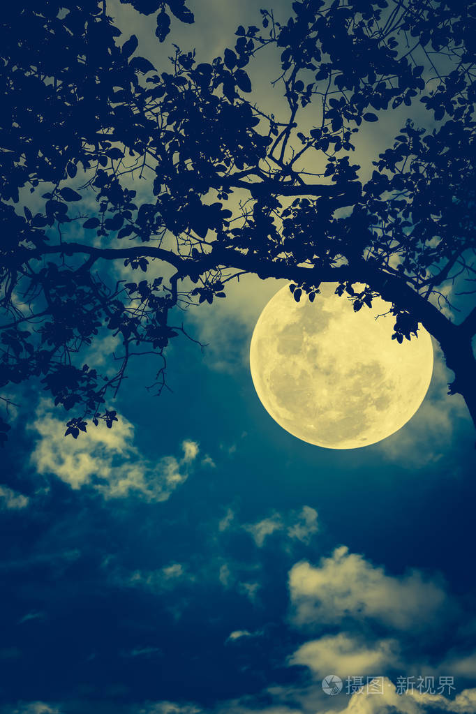 阴天和明亮的满月的夜空.在夜间室外