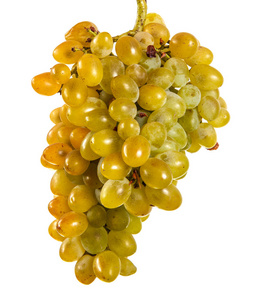 成熟串黄色葡萄。白色背景上孤立
