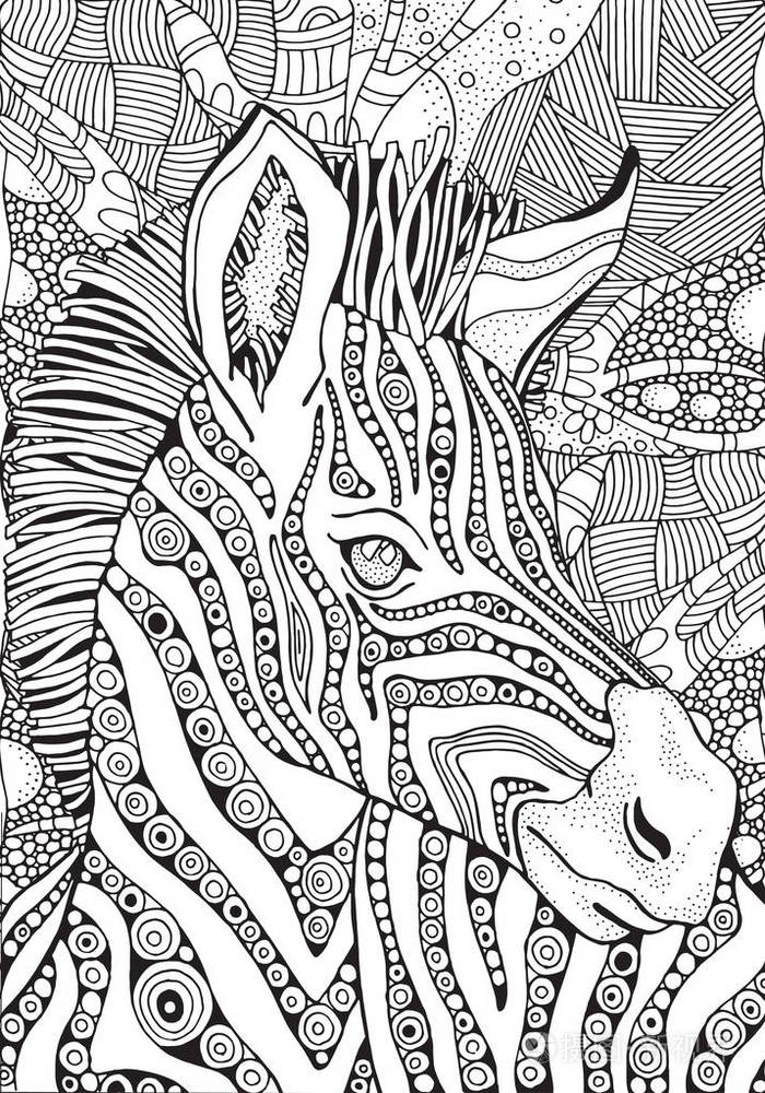 在zentangle 风格的斑马