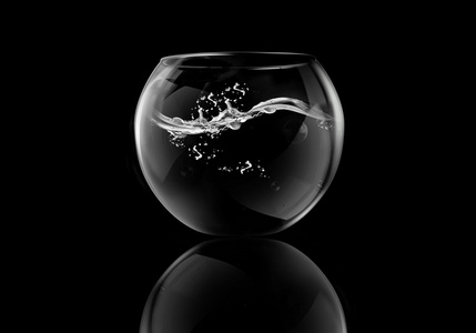 养金鱼水族馆 水族槽,养鱼缸 玻璃鱼池照片