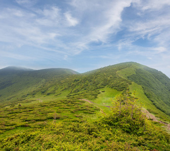 美丽的夏天绿色山风景