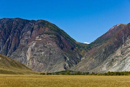 秋山景观