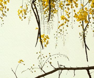 手工纸上的金色花洒树图片