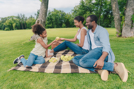 非洲裔美国家庭在野餐图片