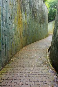 石游走在福康宁公园，新加坡在隧道的方式