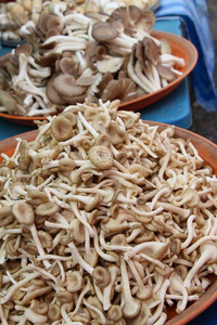 烹饪在市场上的鲜蘑菇