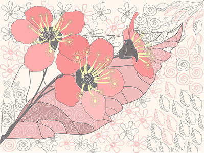 苹果花图片苹果花照片