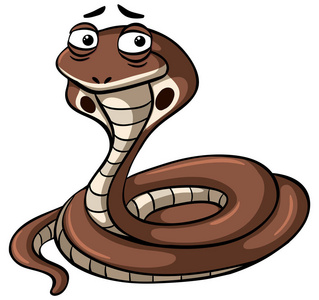 眼镜王蛇蛇在白色背景上