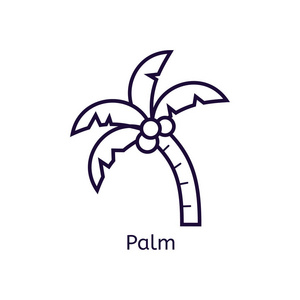 棕榈在白色背景上的图标