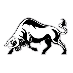 公牛队橹图片