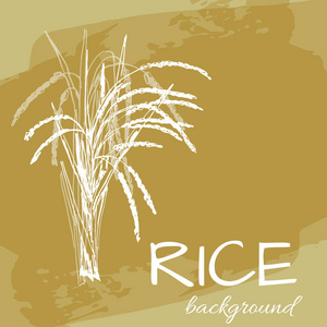 矢量背景与手绘植物水稻徽标