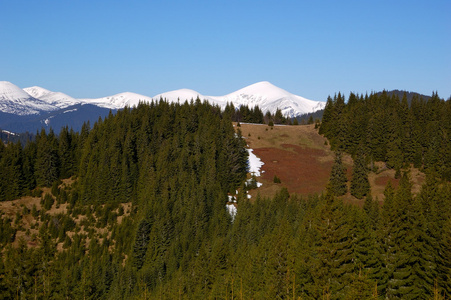 春天在山里