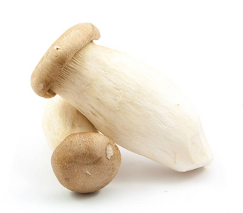 孤立的鲜蘑菇图片
