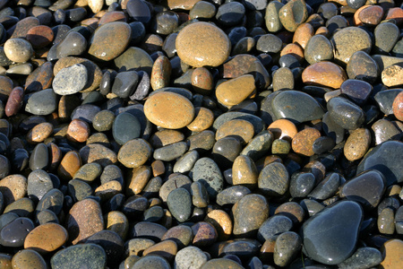 潮湿的石头图片