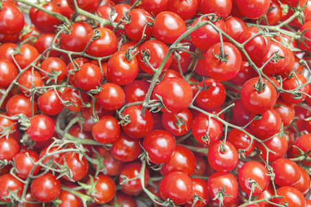 有机新鲜小红色成熟樱桃西红柿市场上苏