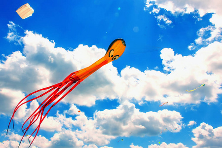 五颜六色的风筝自由地飞行在晴朗的天空照片